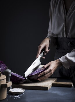 Global Coltello da cucina G-5, immagine decorativa
