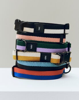 HAY HAY Dogs kaulapanta, litteä, M-L, sininen - luonnonvalkoinen, sisustuskuva