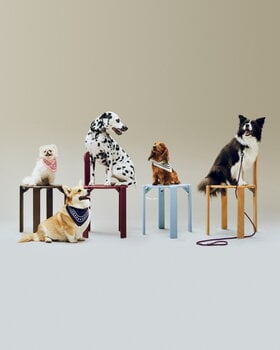 HAY Guinzaglio HAY Dogs, intrecciato, rosso - blu, immagine decorativa