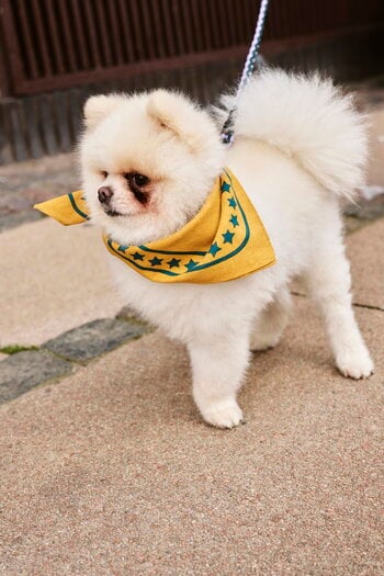 HAY HAY Dogs scarf, 55 x 55 cm, ochre