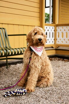 HAY HAY Dogs leash, braided, red - blue