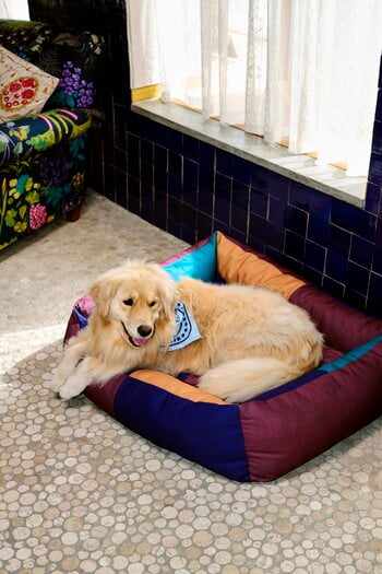 HAY HAY Dogs scarf, 55 x 55 cm, ljusblå