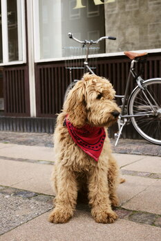 HAY HAY Dogs scarf, 55 x 55 cm, red