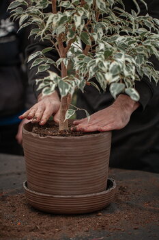 Vaidava Ceramics Soil pot with saucer, L, brown