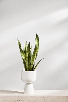 Iittala Nappula plant pot 230 x 155 mm, white
