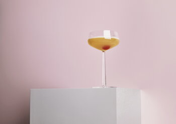 Iittala Essence cocktail bowl, set of 2