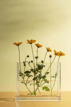 Nedre Foss Vase Monoblokk, verre transparent