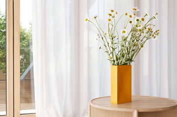Northern Vaso Into, giallo, immagine decorativa