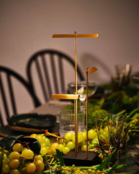 DCWéditions Lampe de table sans fil Knokke, laiton brossé