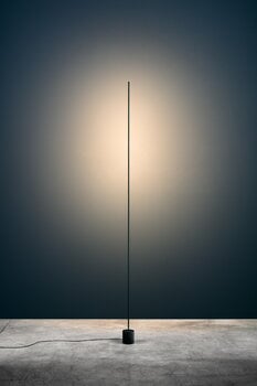 Catellani & Smith Stick floor lamp, black, decoration image