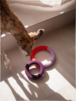 Masimalo Duo Circle dog toy, orange - purple, decoration image