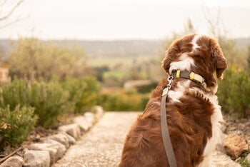 Masimalo Colour Block collar, light sage - khaki, decoration image