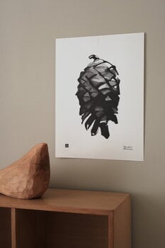 Teemu Järvi Illustrations Pine Cone poster, 30 x 40 cm