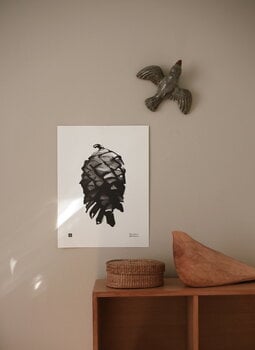 Teemu Järvi Illustrations Affiche Pine Cone, 30 x 40 cm