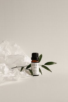 SEES Company Coffret pierre aromatique - huile essentielle, 10 ml, eucalyptus