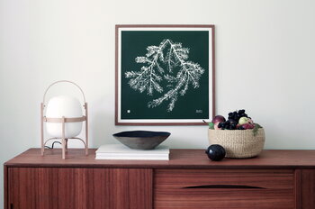 Teemu Järvi Illustrations Spruce Branch poster, 50 x 50 cm, forest green