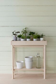 Verso Design Taimi Plant Tray blomlåda