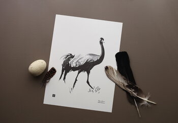 Teemu Järvi Illustrations Poster Common Crane, 30 x 40 cm 