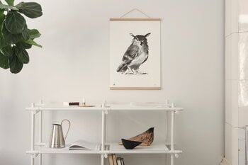 Teemu Järvi Illustrations Owl poster, 50 x 70 cm