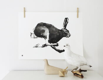 Teemu Järvi Illustrations Poster Hare, 70 x 50 cm