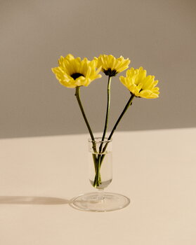 HAY Vase Tiny, transparent