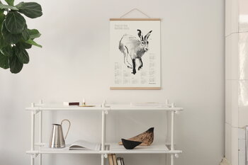 Teemu Järvi Illustrations Year of the Rabbit poster calendar 2023, 50 x 70 cm