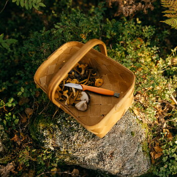 Fiskars Couteau à champignons Fiskars, 21 cm, orange