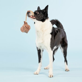 PAIKKA Giocattolo per cani Ball Tug