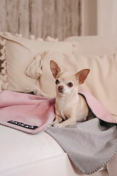 Pet accessories, Recovery blanket, pink, Pink