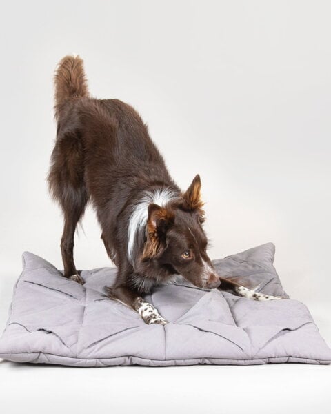 Pet accessories, Square playmat, grey, Gray