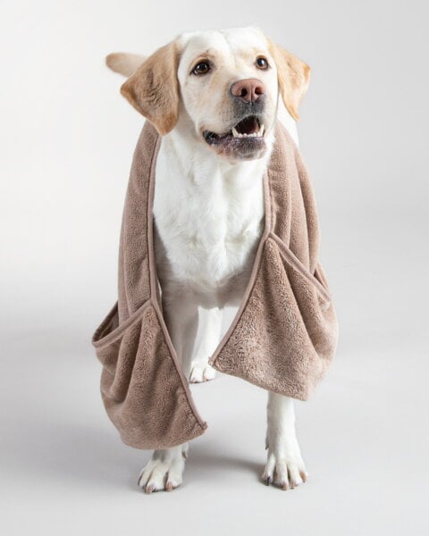 Pet accessories, Drying towel, 40 x 100 cm, taupe, Brown