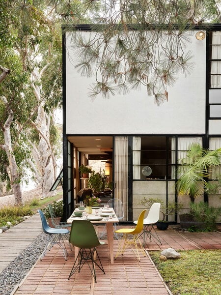 Dining chairs, Eames DSR chair, mustard RE - citron, Yellow