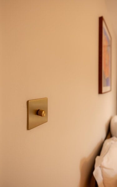 Lighting accessories, Single rotary wall dimmer, brass, Gold