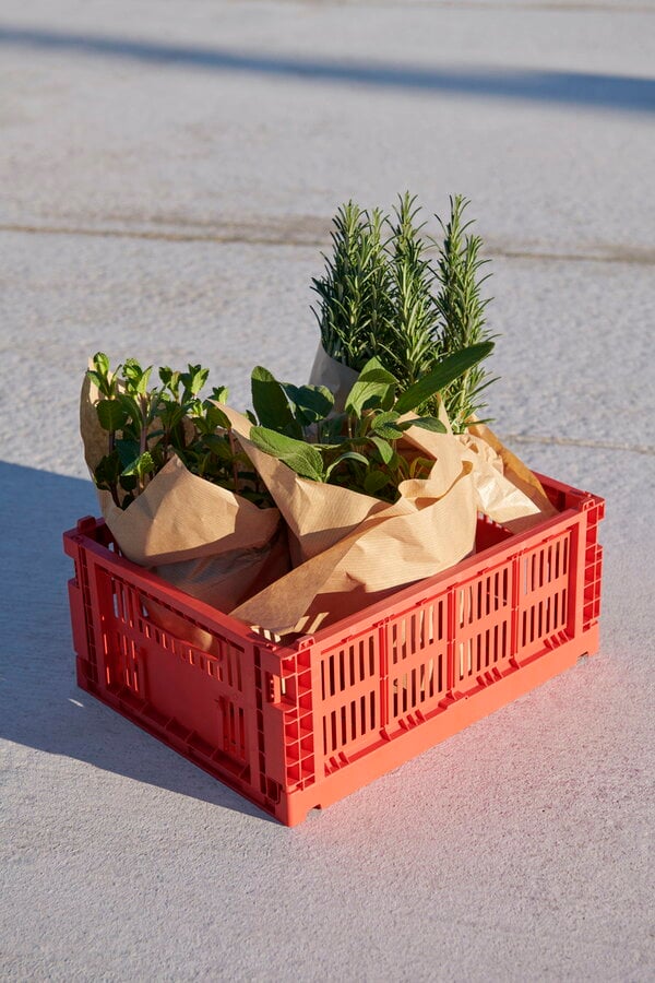 Boîtes de rangement, Colour Crate, M, plastique recyclé, rouge, Rouge