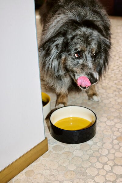 Pet accessories, HAY Dogs bowl, L, blue - yellow, White