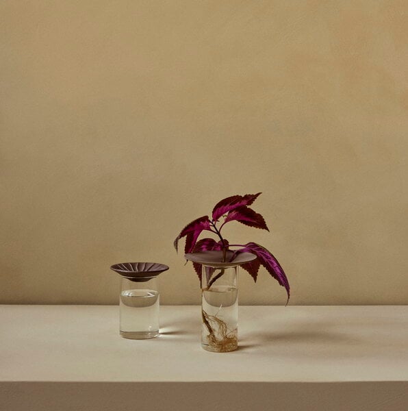 Vases, Cresco propagation vase, 2 pcs, Brown