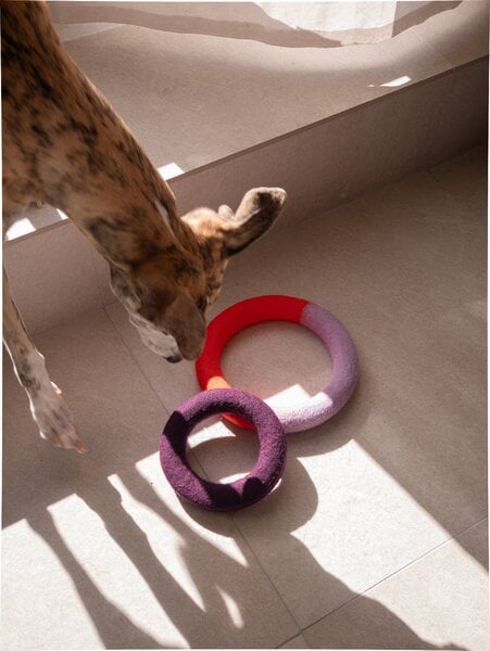 Pet accessories, Duo Circle dog toy, orange - purple, Black