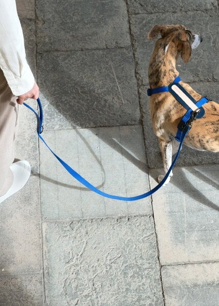 Pet accessories, Colour Block leash, navy - grandala blue, Blue