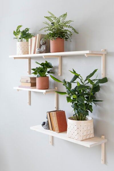 Wall shelves, Tikas wall shelf 24 x 80 cm, birch, Natural