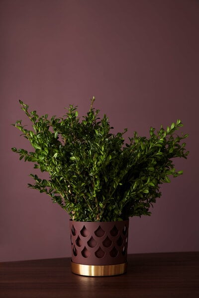 Planters & plant pots, Trio flower pot, medium, dark red, Red