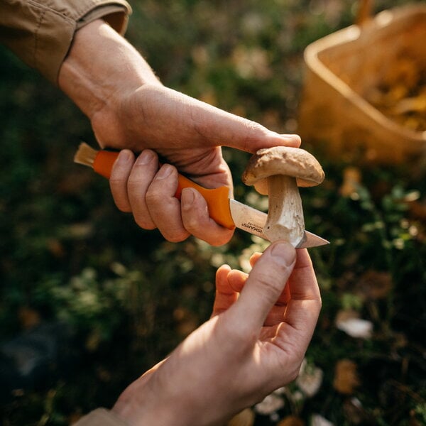 Coltelli da cucina, Coltello per funghi Fiskars, 21 cm, arancione, Arancione