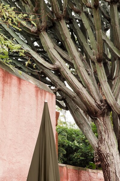 Aurinkovarjot, Lull aurinkovarjo, pyökki – oliivinvihreä, Vihreä