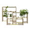 Adea The Botanic Shelf, natural oak - brass