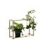 Adea The Botanic Shelf, natural oak - brass