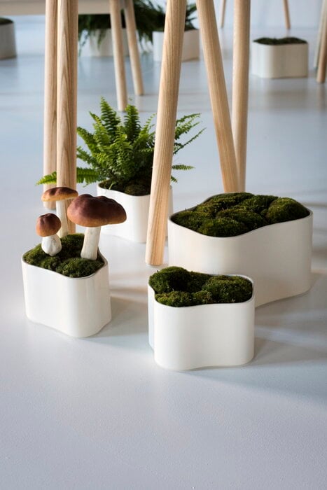Viherkasvit Artek White Ceramic