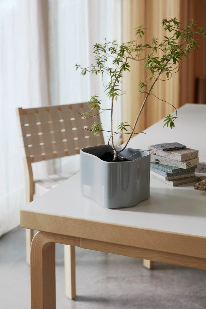 Viherkasvit Ruokailutilat Artek White Wood Birch Gray Ceramic