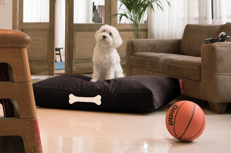 Fatboy Doggielounge, large, recycled canvas black licorice, decoration image