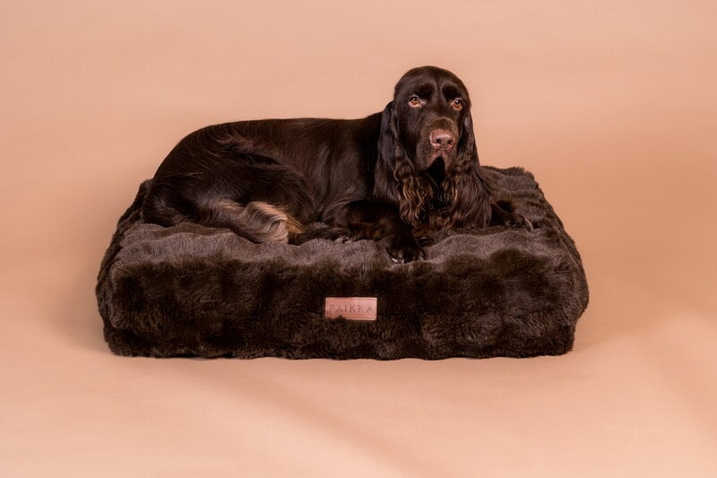 PAIKKA Orthopedic Plush Bed Lounge koiranpeti, ruskea, näkymä 4