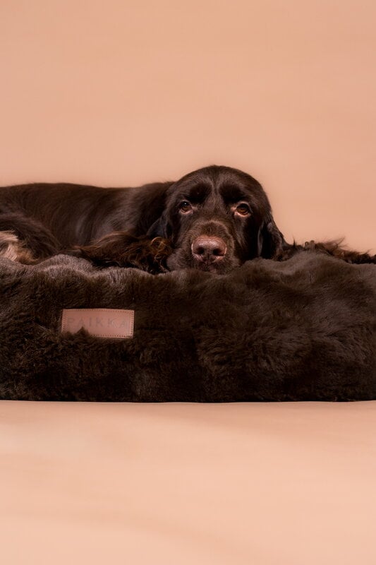 PAIKKA Orthopedic Plush Bed Lounge koiranpeti, ruskea, näkymä 5
