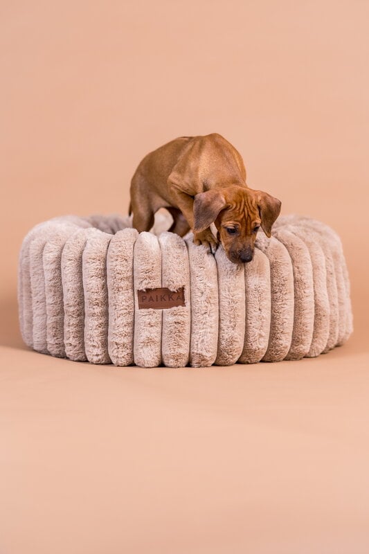 PAIKKA Orthopedic Plush Bed Round dog bed, taupe, decoration image